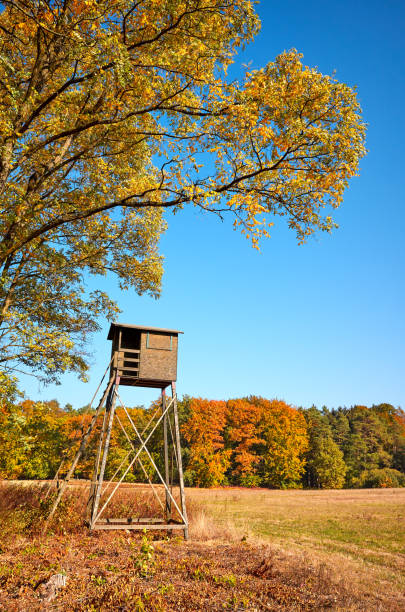 istock Wooden elevated deer hunting blind. 1055074294
