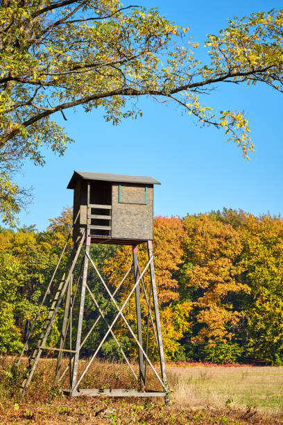 istock Wooden elevated deer hunting blind. 1055074568