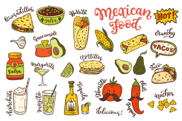 ilustraciones, imágenes clip art, dibujos animados e iconos de stock de cocina mexicana, dibujo doodle comida juego - guacamole restaurant mexican cuisine avocado
