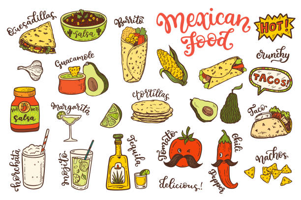 ilustrações de stock, clip art, desenhos animados e ícones de mexican cuisine, sketch doodle food set - cocktail avocado