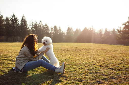 Beautiful young woman enjoying sunset with her bichon frise dog