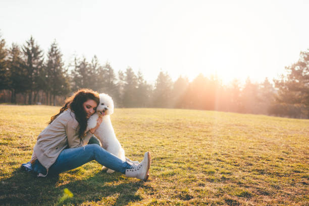 istock Enjoying sunset with my dog 1055087166