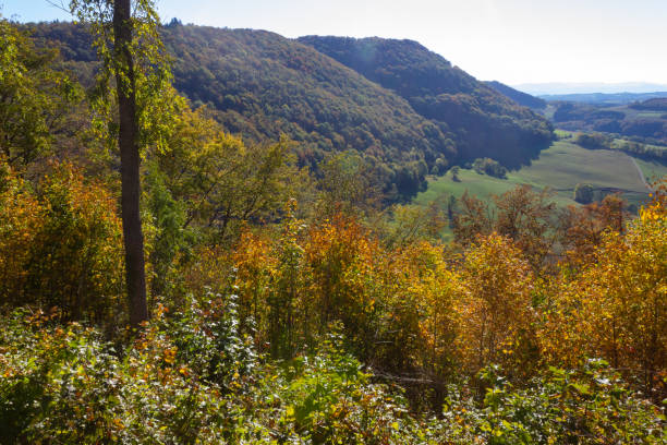 istock indian summer landscape mountains with colorful trees 1055088208