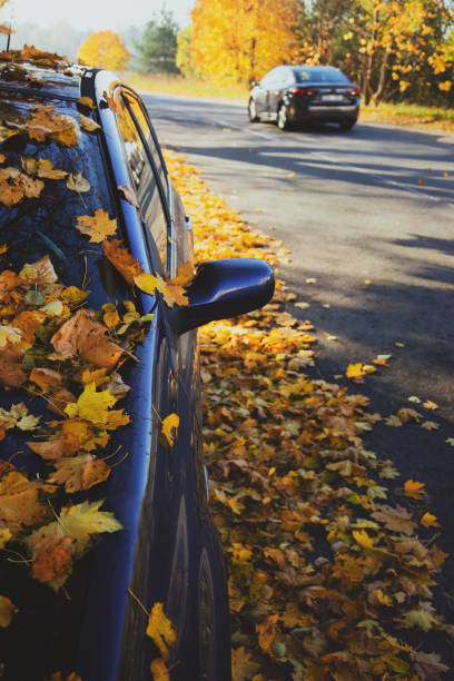 istock Car with leaves on the road in autumn 1055088246