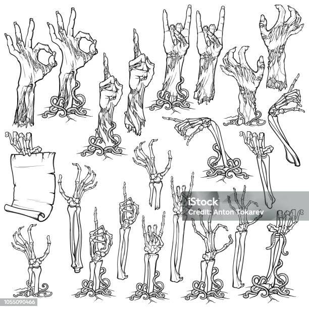 Zombie Body Language Set Of Lifelike Rotting Zombie Hands And Skeleton Hands Rising From Under The Ground And Torn Apart Linear Drawing Isolated On White Background Stock Illustration - Download Image Now