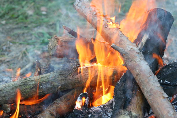 istock Burning and smoking wood logs 1055091204