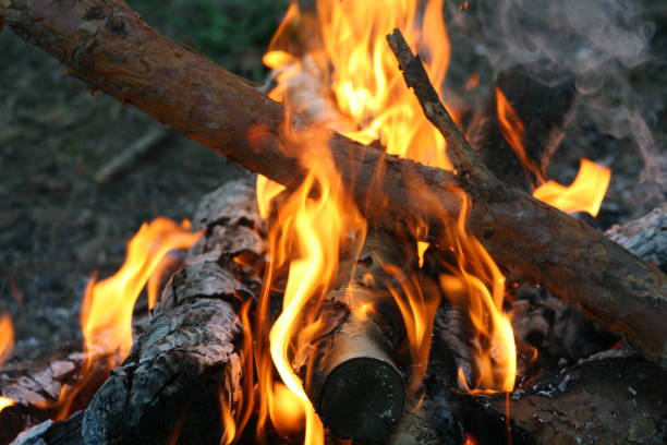 istock Burning and smoking wood logs 1055091438