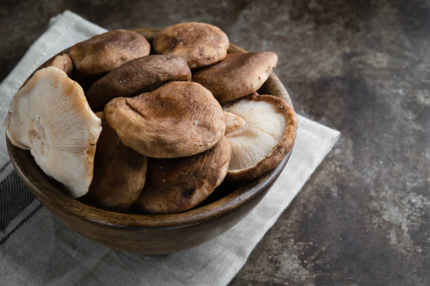 istock Bowl with raw shiitake mushrooms on a dark background. Horizontal. Copy space. 1055098590