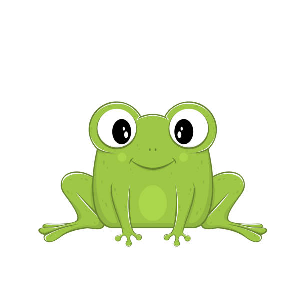 귀여운 녹색 개구리 - toad green isolated white stock illustrations