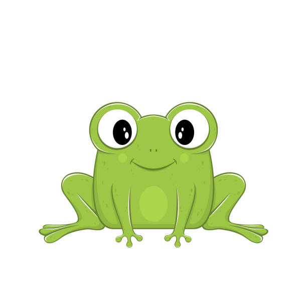 urocza zielona żaba - toad green isolated white stock illustrations