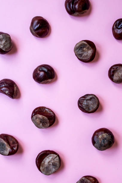 istock Geometric pattern with chestnut seeds, autumn pink background 1055105748