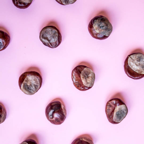 istock Geometric pattern with chestnut seeds, autumn pink background 1055105766