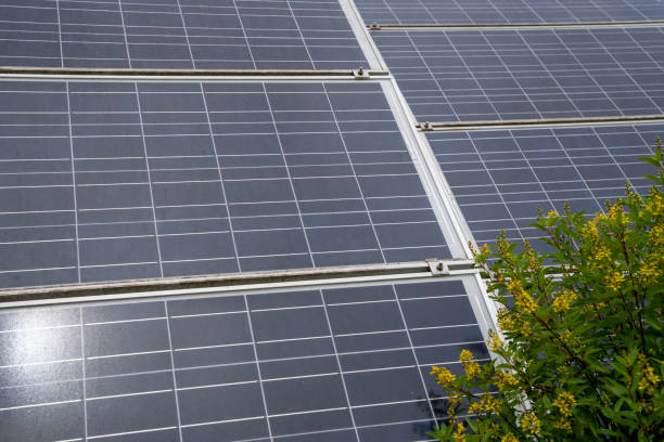 istock Solar cell , clean energy concept. 1055107486