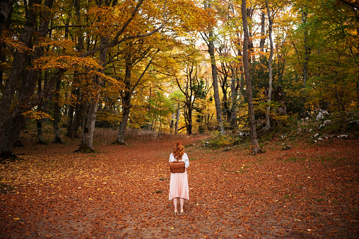 Young beautiful woman standing in a autumn scenario, looking trees.