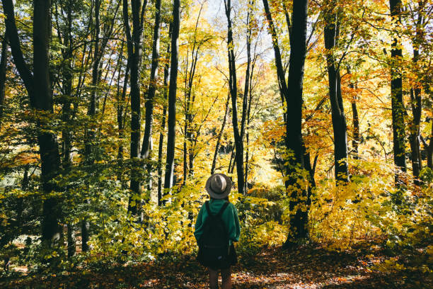 istock Woman in hat with backpack in autumn forest 1055113926