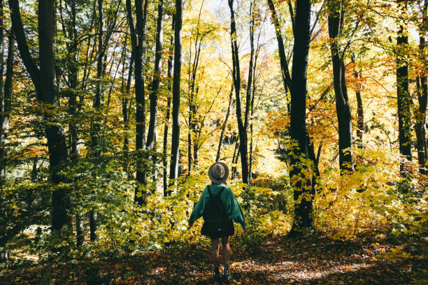 istock Woman in hat with backpack in autumn forest 1055113946