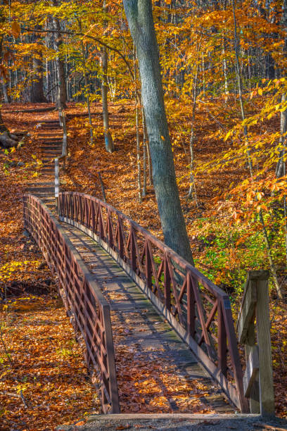 istock Footbridge and Foliage 1055127038