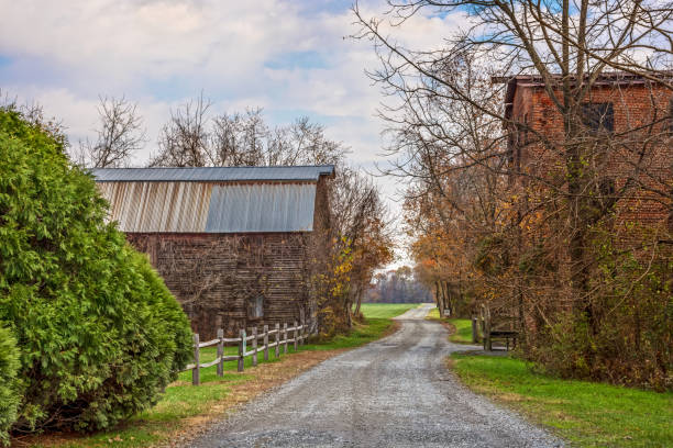 istock Rural Country Road 1055127102