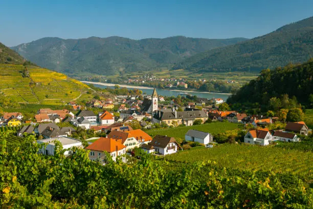 Colorful vineyards near Spitz an der Donau in autumn, blue sky (Wachau, Lower Austria)