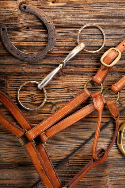 istock Horse equipments on wooden background 1055128094