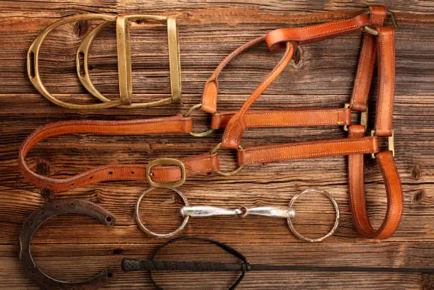 Photo of Horse equipments on wooden background