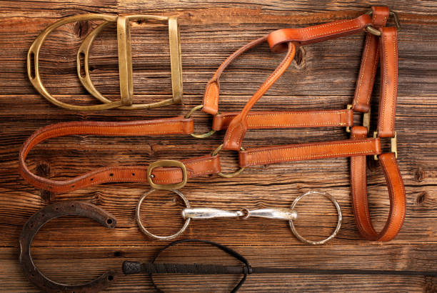 equipamentos de cavalo em fundo de madeira - leather harness - fotografias e filmes do acervo