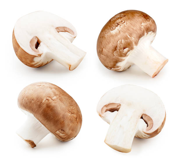 istock Champignon mushrooms close-up isolated on white background 1055151334