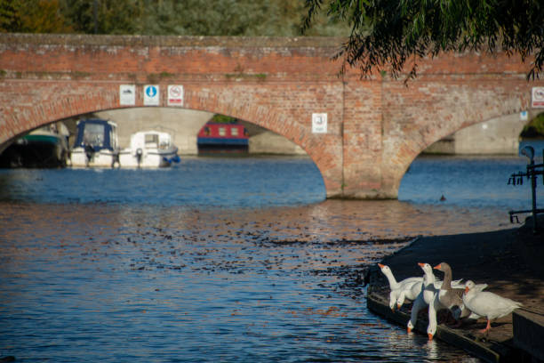 istock typical English river scene in autumn 1055154440