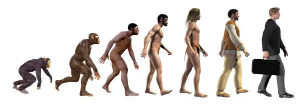Human evolution, from ape to business man, 3d illustration