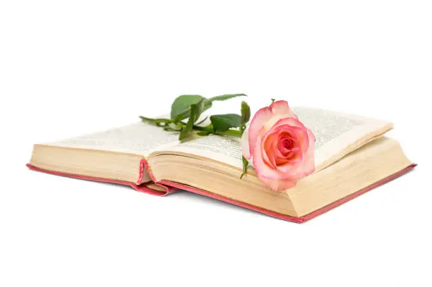 Photo of Opened book with pink rose on white background.