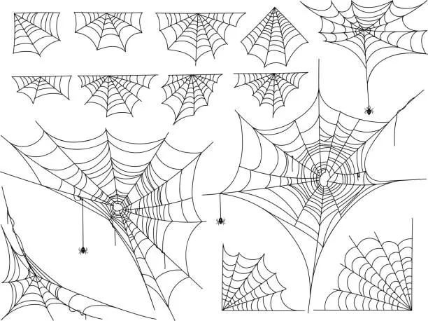 Vector illustration of Black spiders and different web isolated on white background