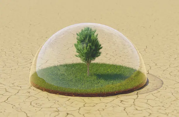 Global warming concept with a tree in the middle of a desert saved in bell glass