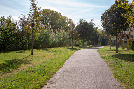 Autumn season landscape view in public park