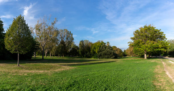 istock Autumn landscape in city park 1055176346