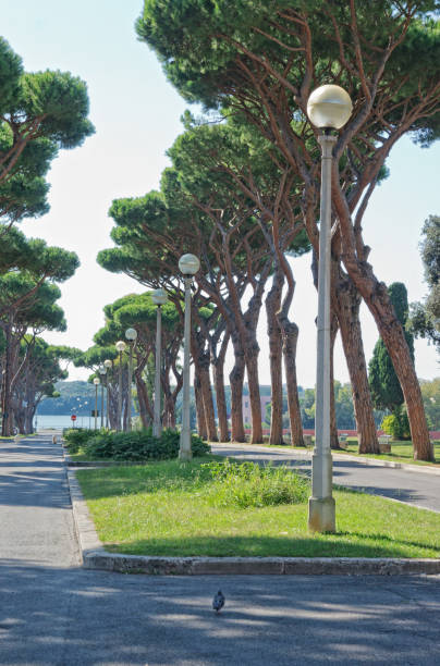 istock Sabaudia town - Latina Italy 1055176390
