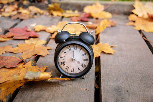 Vintage black alarm clock on autumn leaves. Time change abstract photo.