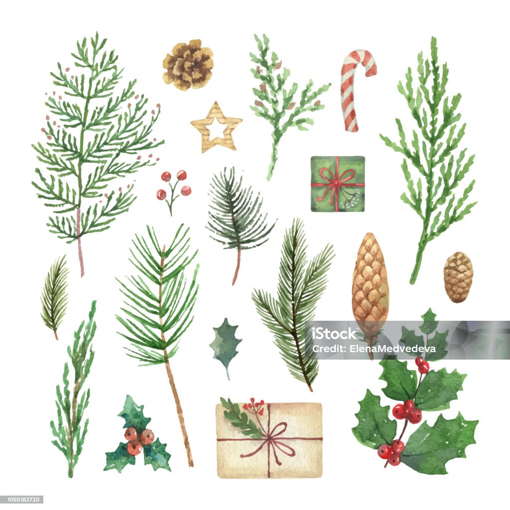 Watercolor vector Christmas set with evergreen coniferous tree branches, berries and leaves. Watercolor vector Christmas set with evergreen coniferous tree branches, berries and leaves. Illustration for your holiday design isolated on a white background. Christmas stock vector