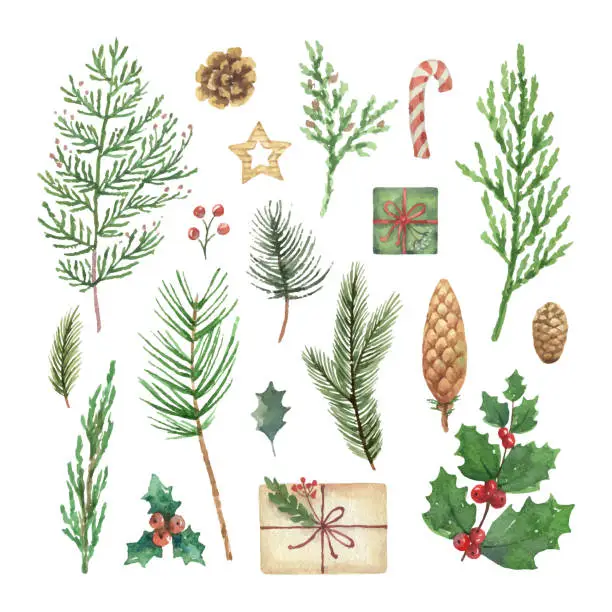 Vector illustration of Watercolor vector Christmas set with evergreen coniferous tree branches, berries and leaves.