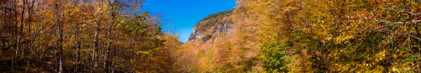 vista panorámica de una escena de otoño - adirondack mountains fotografías e imágenes de stock