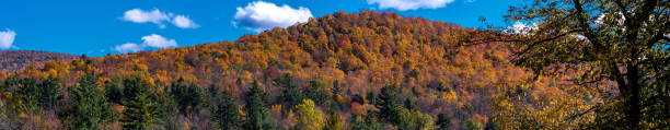 vista panorámica de una escena de otoño - adirondack mountains fotografías e imágenes de stock