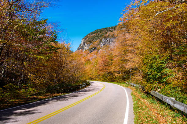 istock Road in autumn scene 1055186022