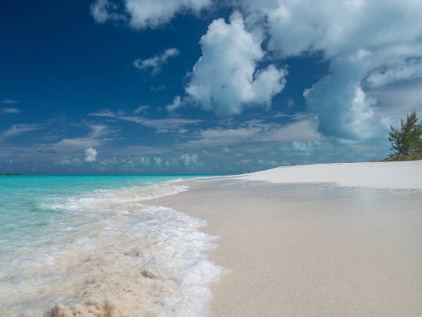 istock Tropic of Cancer Beach 1055186704