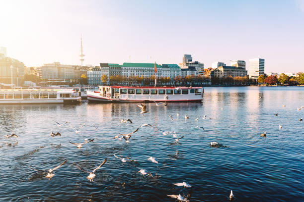 seagulls and passenger crafts on Alster Lake in Hamburg, Germany on sunny day seagulls and passenger crafts on Alster Lake in Hamburg, Germany on sunny day in autumn aussenalster lake stock pictures, royalty-free photos & images