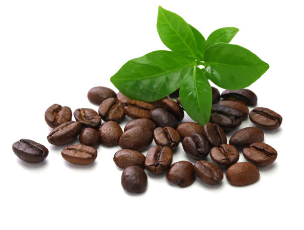 istock scattered roasted coffee beans and leaves on white  background 1055197832