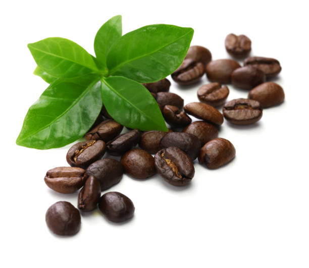 istock scattered roasted coffee beans and leaves on white  background 1055197846