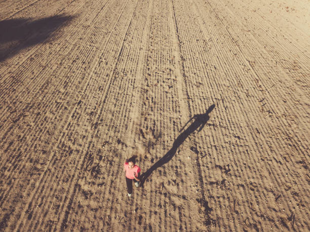 drone view on woman running on autumn field at late afternoon