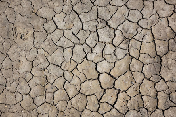 istock Cracked earth, cracked soil. texture of grungy dry cracking parched earth. Global worming effect. 1055203592