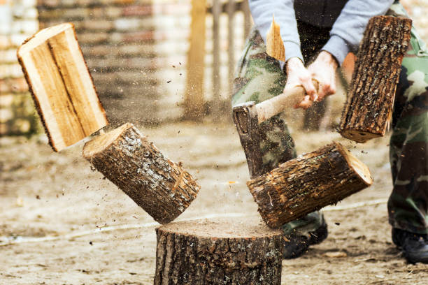 istock lumberjack cutting wood 1055209758