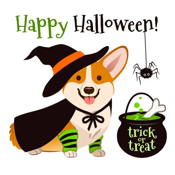 Vector illustration of Halloween corgi puppy dog wearing witch costume with black hat and cape, cauldron brewing bubbling green potion vector cartoon illustration isolated on white. Funny cute pet Happy Halloween theme.