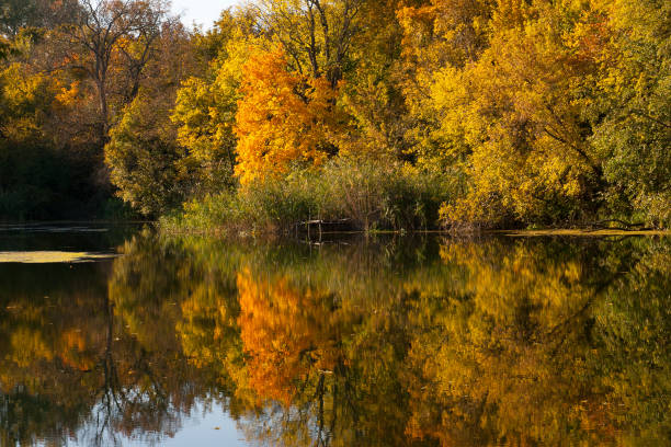 istock Autumn trees water reflections landscape 1055214140